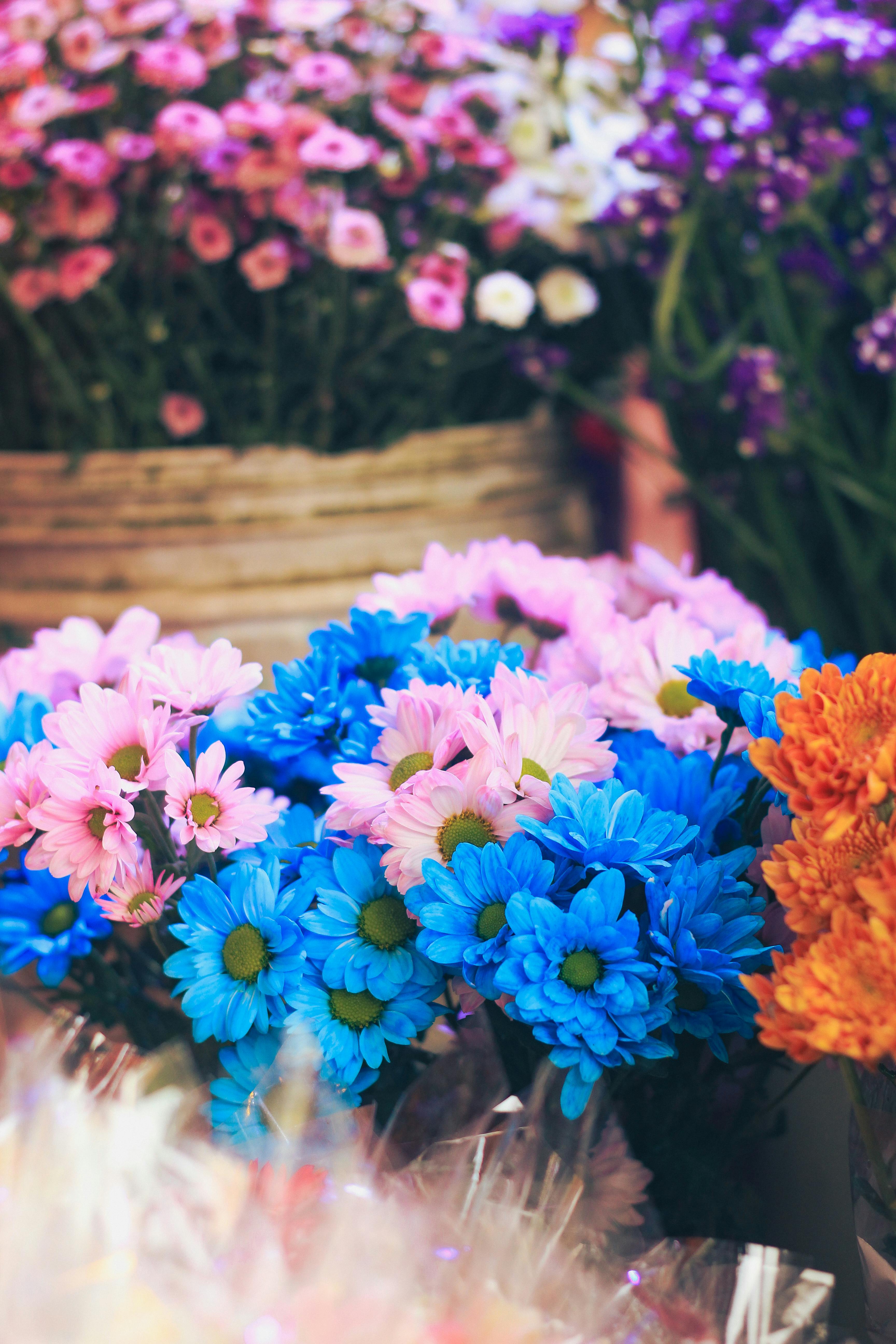 Композиция из сезонных хризантем